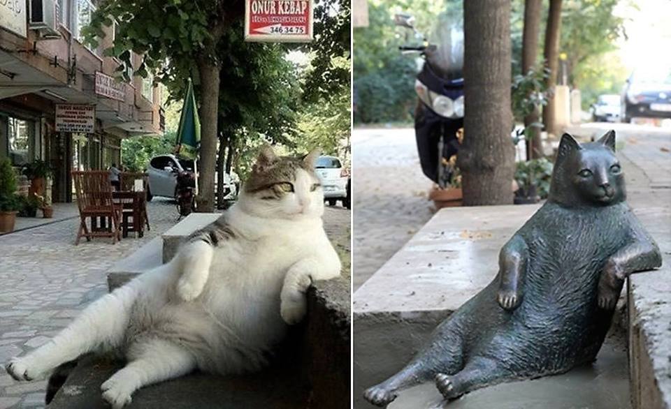 Stories Behind: The Statue of Tombili and the Cats of Istanbul – Urban Issues